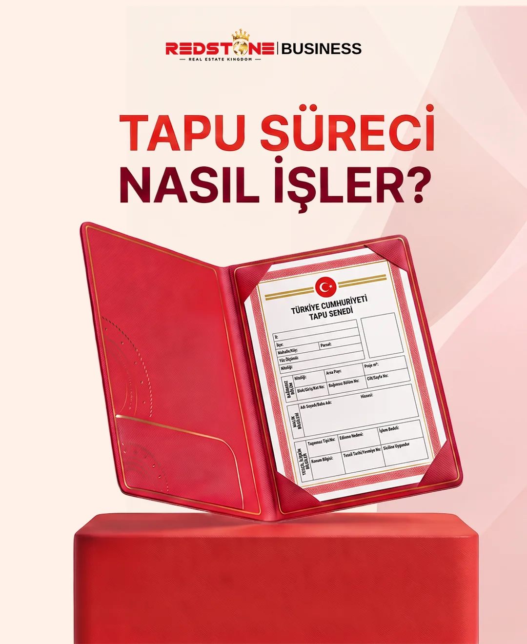 Tapu İnfografik Çalışması
